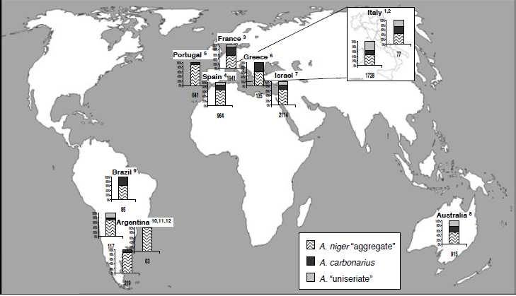 24 Figura 1 Estudos realizados sobre a ocorrência de Aspergillus Seção Nigri em uvas cultivadas em diferentes regiões do mundo (extraído de LEONG et al.