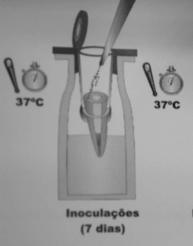 66 Figura 28 Preparo