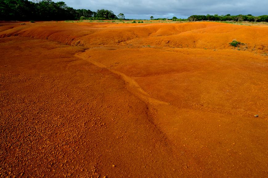 Custos de InvesJmentos Aquisição de Terrenos de interesse para a Biodiversidade. 3.000.