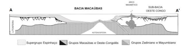 11, Gonçalves et al. 20