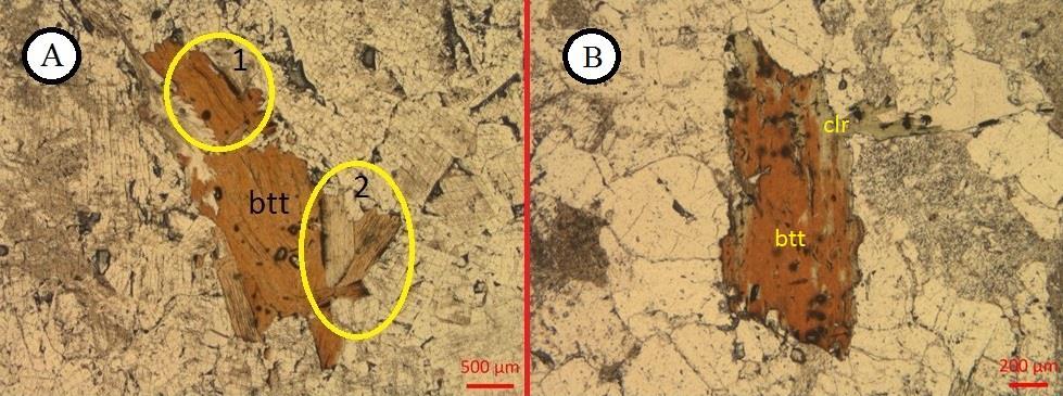 Pimenta, M. G. B. 2018, Caracterização Mineralógica e Textural de Granitoides da Terminação... rochas não-foliadas.