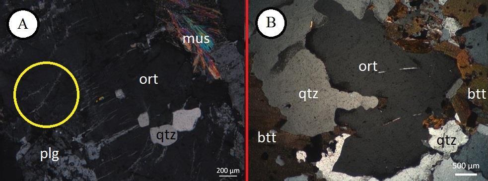 Pimenta, M. G. B. 2018, Caracterização Mineralógica e Textural de Granitoides da Terminação... hospedando em grãos de ortoclásio, as características são as mesmas descritas para as supersuites G1 e G2.