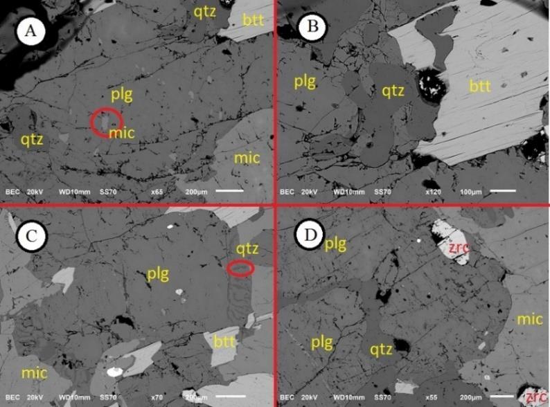 Pimenta, M. G. B. 2018, Caracterização Mineralógica e Textural de Granitoides da Terminação... Figura 3.30: Fotomicrografias obtidas por MEV, baseadas na detecção de elétrons.
