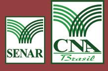 Ano 2 - Edição 5 - Julho de 2016 6 do Instituto de Economia Agrícola de São Paulo (IEA). Já no atacado, o cenário foi inverso.