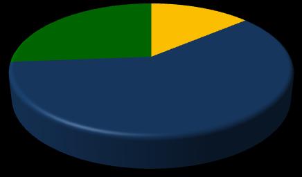 Gráfico 20 - Participação relativa das empresas e empregos formais em Ibiam, segundo o porte - 2008 Empresas 3,7% 0,0% 0,7% 26,3% Empregos 0,0%