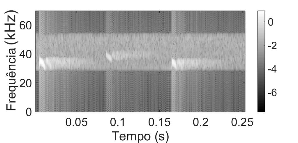 a metodologia de extração de características de espectrogramas de sinais de ecolocalização de morcegos da Mata Atlântica e a proposição de um sistema especialista fuzzy para classificação.