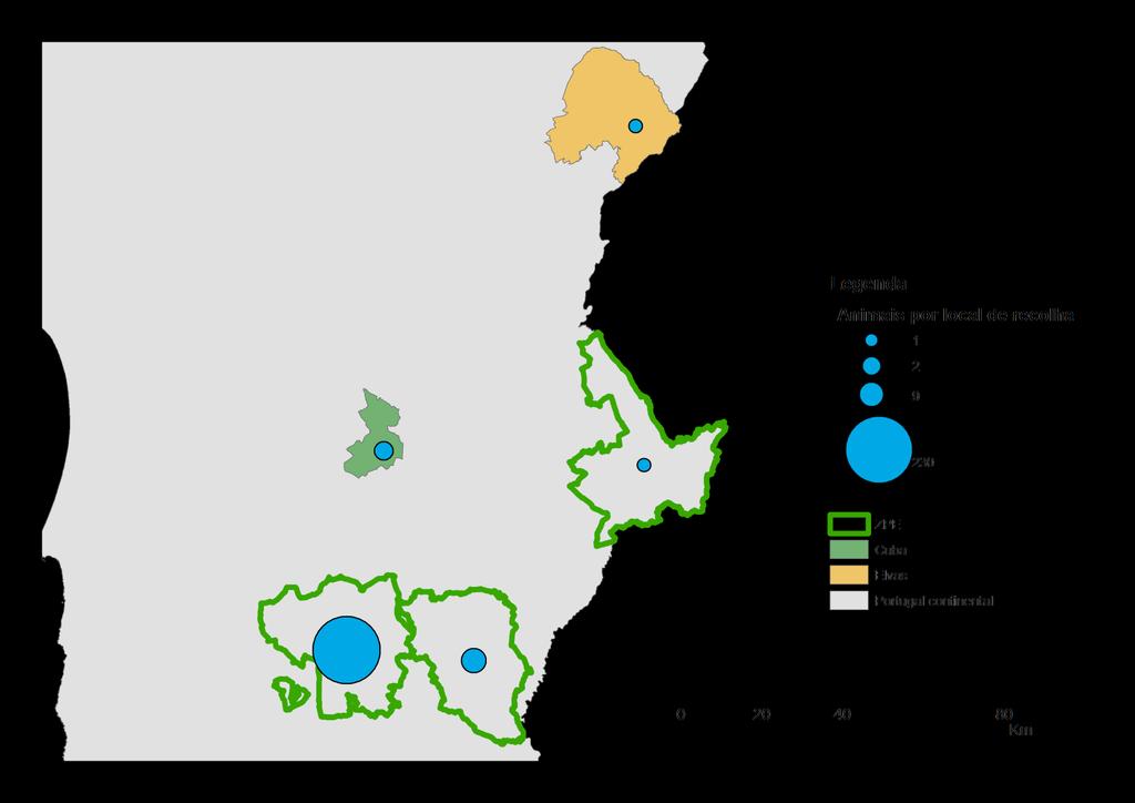 RESULTADOS FINAIS - POR LOCAL DE ORIGEM - (ZPE de S.