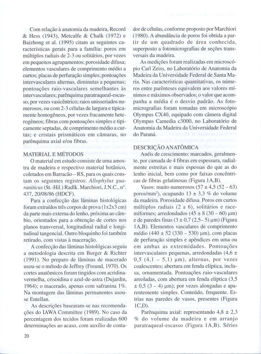 Com relação à anatomia da madeira, Record & Hess (1943), Metcalfe & Chalk (1972) e Baizhong et ai.