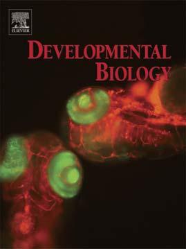 Accepted Manuscript Graded maternal Short gastrulation protein contributes to embryonic dorsalventral patterning by delayed induction K. Carneiro, M. Fontenele, E. Negreiros, E. Lopes, E. Bier, H.