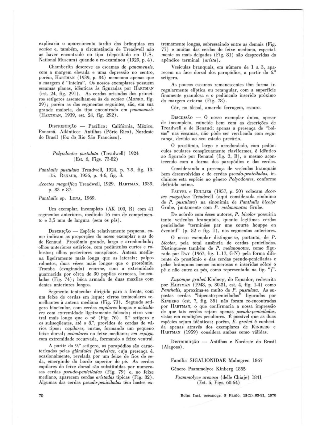 explicaria o aparecimento tardio das brânquias em oculea e, também, a circunstância de Treadwell não as haver encontrado no tipo (depositado no U. S. National Museum) quando ore-examinou (1929, p. 4).