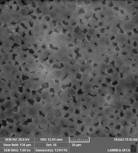 Figura 1 - Fotomicrografias de MEV da superfície de topo da membrana de (a) ; (b) PA6 + 1% de