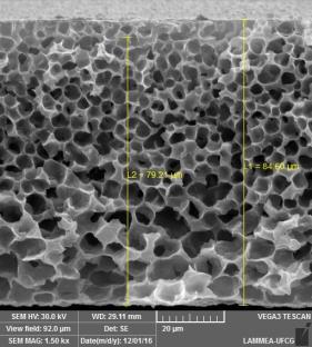 A Figura 3 ilustra os testes de medidas de fluxo mássico de água para as membranas de PA6 pura