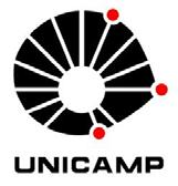 Intelectual Inova Unicamp https://www.linkedin.