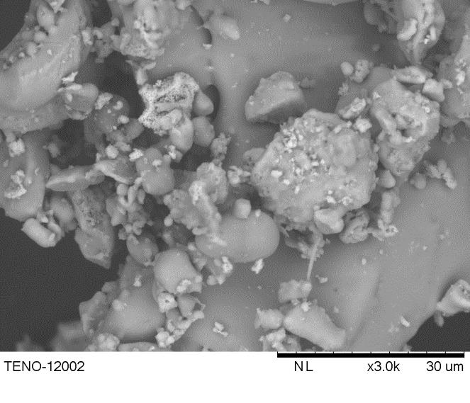 Figura 6- Micrografia obtida por MEV da amostra TEN-02, calcinada a 1200ºC por 2h.