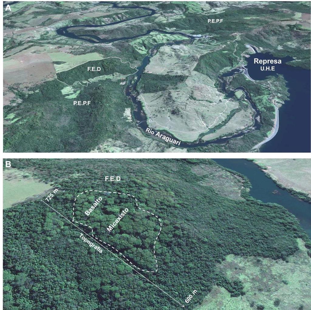 4 Florestal (IEF) tem priorizado a conservação, por ser uma das regiões do Estado de Minas Gerais mais atingidas pelo desmatamento ao longo dos anos.