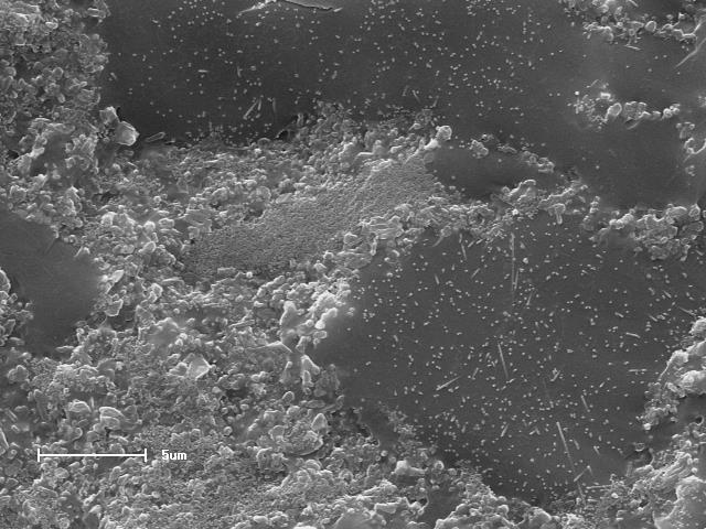 99 aparece predominantemente na forma de aglomerados de pequenos cristais com tamanho menor que 0,5 µm, e recebe este nome devido ao fato de se formar em