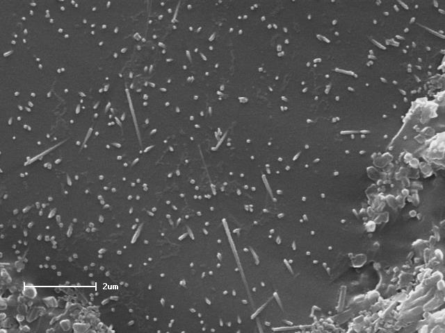 Figura 31 Micrografia obtida por MEV, do material de composição MCB sinterizado em 1250 C.