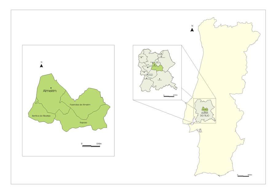 O concelho de Almeirim constitui um território de intermediação entre sub-sistemas territoriais e urbanos diferenciados, constituindo nomeadamente uma porta de entrada no Sul do País.