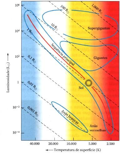 Classes de Luminosidade Estrelas de mesma temperatura podem possuir luminosidades