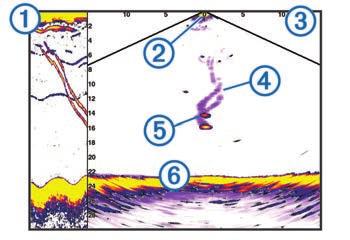 As visualizações de sonar Panoptix permitem que você veja em tempo real o que acontece ao redor da embarcação. Você também pode ver suas iscas debaixo d'água e cardumes à frente ou abaixo do barco.