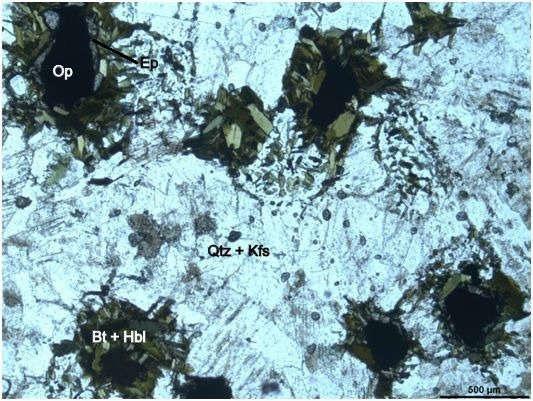 Figura 05: Agregados de simplectitos com núcleos de minerais opacos contornados por biotita, anfibólio, epidoto e quartzo em matriz quartzo-feldspática, amostra OM-165-B (NP).