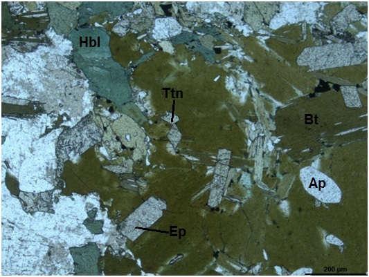 Figura 08: Agregado máfico de biotita e anfibólio associado à titanita navicular, epidoto magmático prismático e apatita na amostra OM-369 (NP). 3.2.