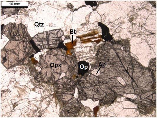 Figura 16: Cristais de ortopiroxênio, com contatos curvos a retos,