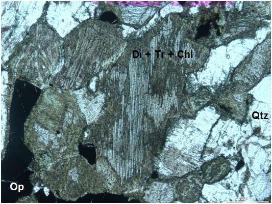 quartzo, plagioclásio e apatita na amostra OM-298 (NP).