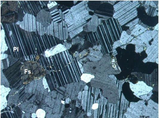 Figura 21: Cristais de plagioclásio circundando cristais de ferrossilita, amostra OM-298 (NX).