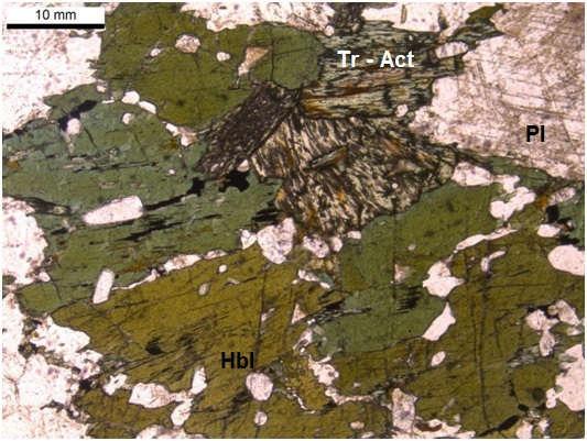 Figura 28: Cristais de hornblenda associados a cristais de plagioclásio e ortopiroxênio substituídos por tremolita-actinolita fibrosa na amostra OM-283 (NP). 4.