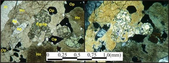 14- Presença de hornblenda (Hn) com relíquias de piroxênio (Eg-ag), concentrados principalmente no centro do cristal.