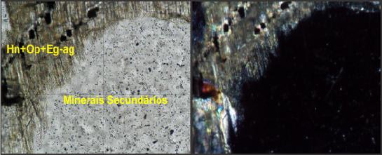 64- Detalhe da parte dissolvida do cristal de piroxênio (Eg-ag) e hornblenda (Hn) da fotomicrografia anterior e a provável