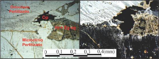 pela ação do ácido sulfúrico.(nicóis // e nicóis x) (10x). 3.3.3- FOTOMICROGRAFIAS DO GRANITO MARROM IMPERIAL- ESCURO, APÓS ATAQUE COM ÁCIDO CLORÍDRICO Figura 3.
