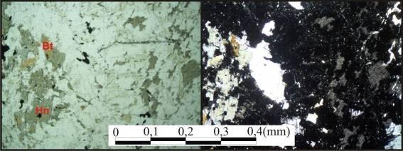 antipertítico. Nota-se que as microfissuras encontram-se preenchidas pelo azeite de oliva. (nicóis // e nicóis x) (4x).