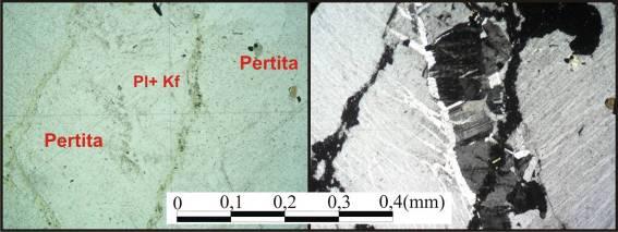 75- Evidenciando a deposição do azeite de oliva sobre os minerais constituintes da rocha (nicóis // e nicóis x) (4x).