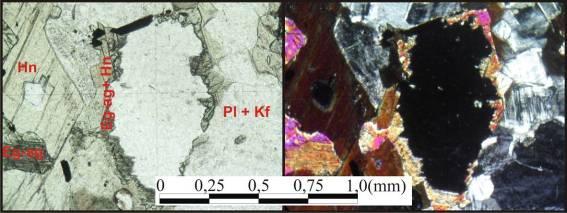 78- Evidências de azeite de oliva depositado sobre os minerais (nicóis // e nicóis x) (4x). 3.