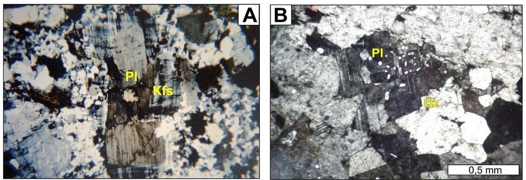 Flores (Figuras IV-2 e IV-3). Figura IV-2. Aspectos texturais do plúton Flores ao microscópio petrográfico, destacando a assembleia félsica.