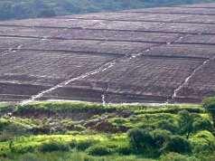 Agricultura como maior fonte