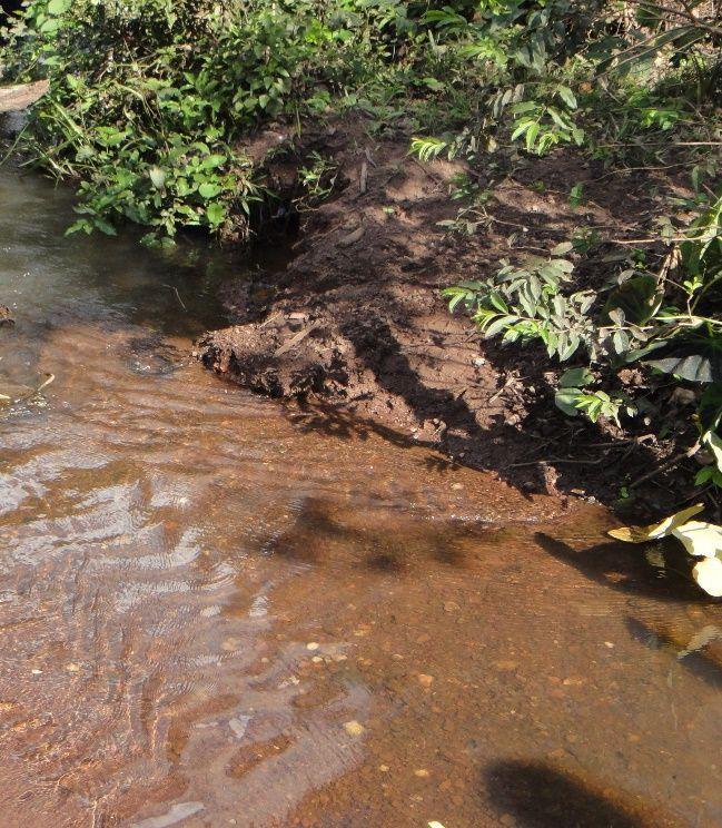 Figura 4: Aparência da água do Córrego Gamela. Fonte: Os autores.