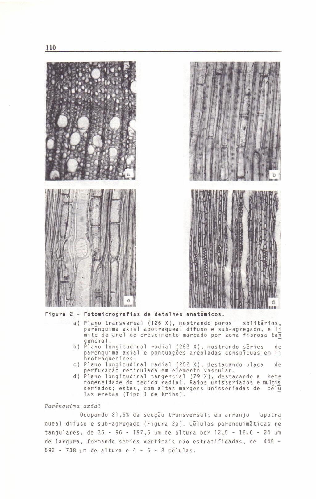 110 Figura 2 - a) parênquima Fotomicrografias de detalhes anatõmicos.