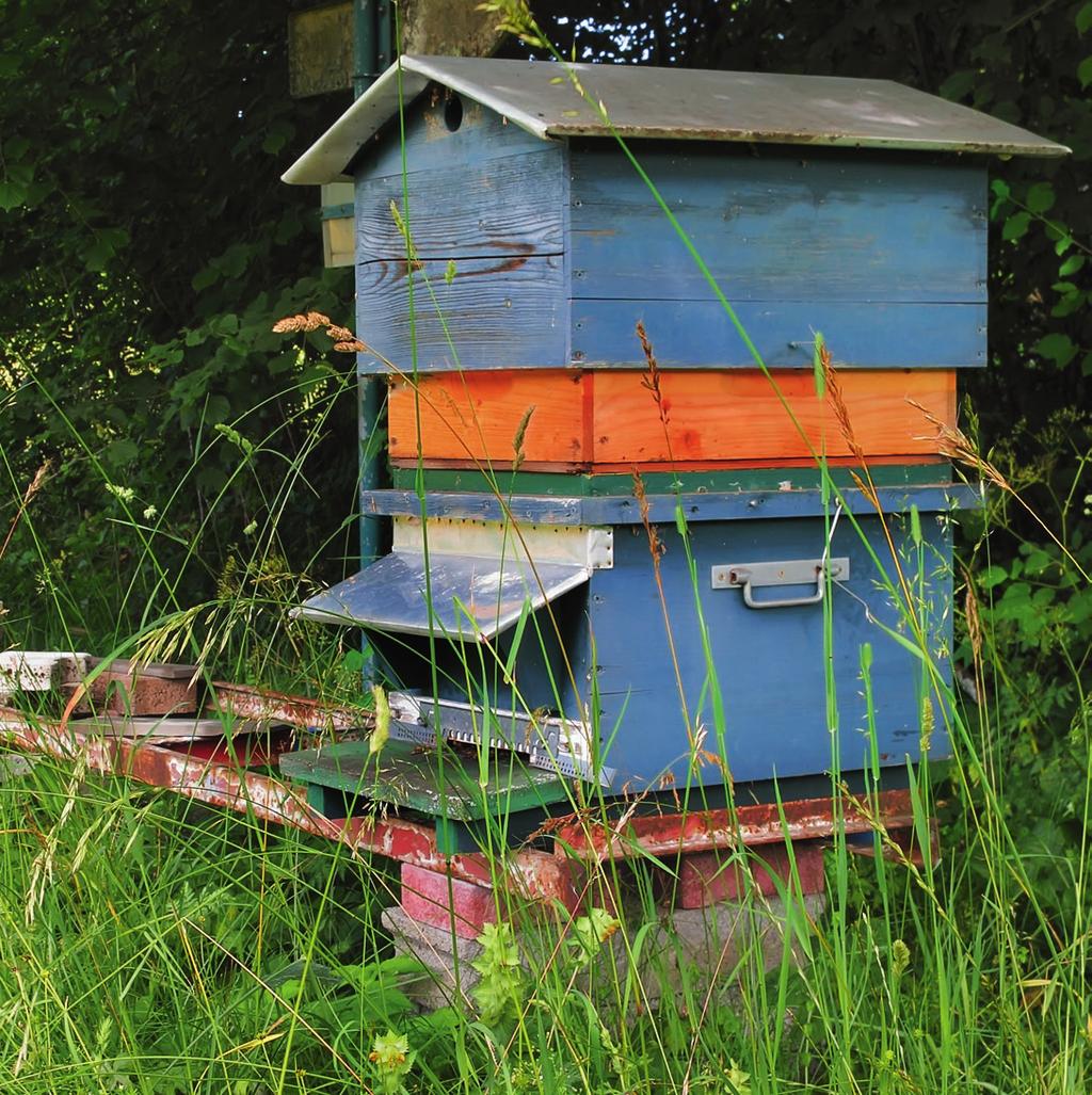 For NUXE, honey also means sustainable development The respect for Nature has always been at the very heart of NUXE history and the balance of biodiversity is one of its major concerns.