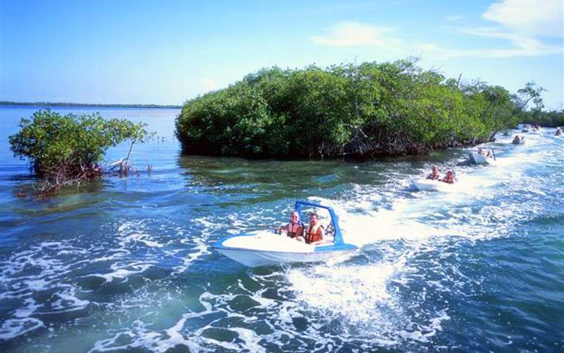 Passeio pelos manguezais da lagoa Nichupté; Lancha para duas pessoas; Inclui: 1 guia para cada 5 lanchas; 1 garrafa de água; Equipamento de snorkeling (colete salva-vidas, pés de pato e visor e tubo
