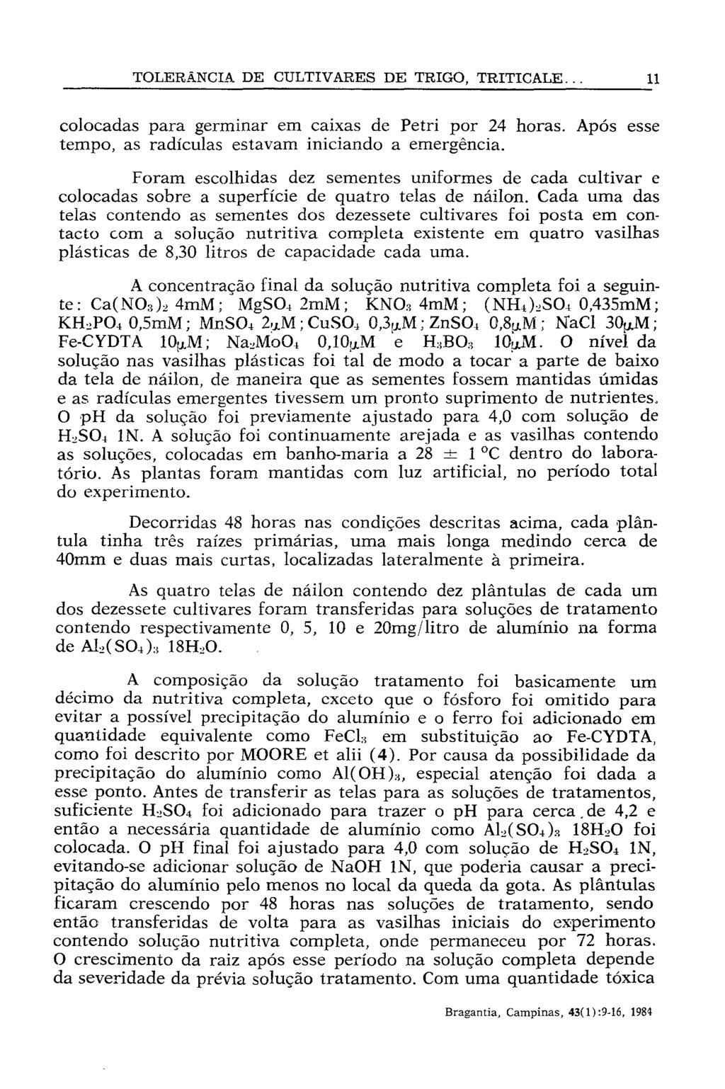 colocadas para germinar em caixas de Petri por 24 horas. Após esse tempo, as radículas estavam iniciando a emergência.