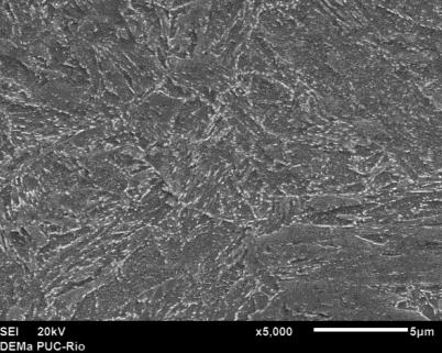 análise microestrutural foi realizada