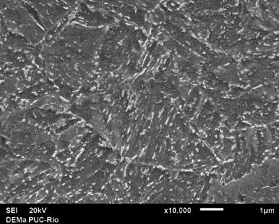 microscopia eletrônica de varredura