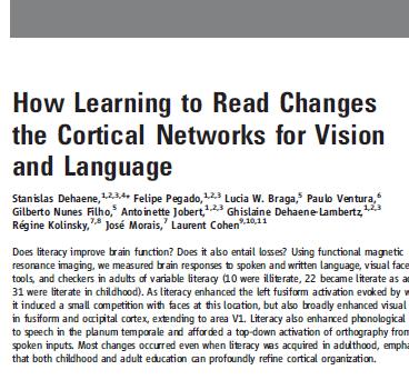 Encontram correlações entre grau de literacia e melhoria das respostas cerebrais.