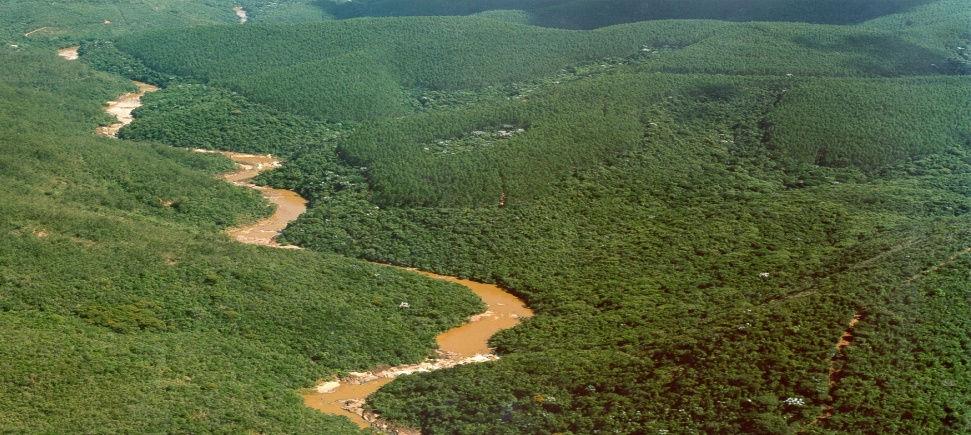 Reduz a pressão sobre florestas nativas Manutenção de Áreas de Reserva Legal e de