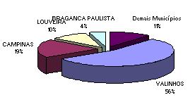 Principais municípios produtores no Estado de São Paulo RS e MG: produção destinada a indústria MG: destaca-se São Sebastião do Paraíso, Virginia e Marmelópolis SP: a