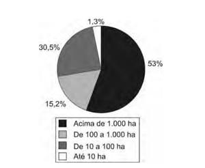 O gráfico representa a relação entre o tamanho e a totalidade dos imóveis rurais no Brasil.