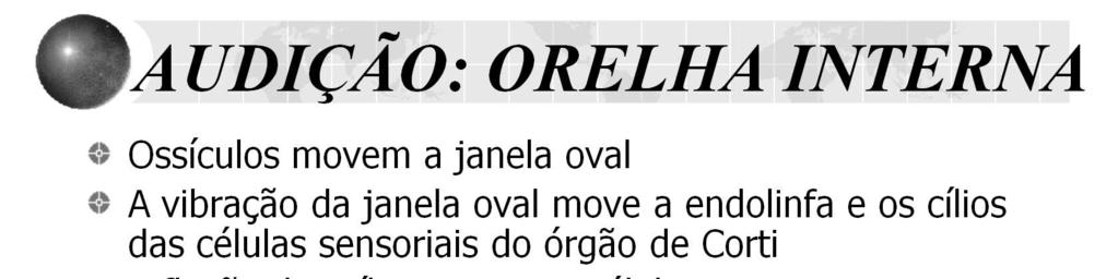 A vibração da membrana basilar faz com que as células ciliares do órgão de Corti se agitem para frente e para trás; isso flexiona os